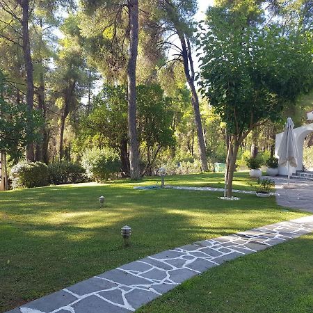 Sani Villa Christy Dış mekan fotoğraf