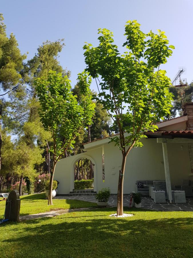 Sani Villa Christy Dış mekan fotoğraf